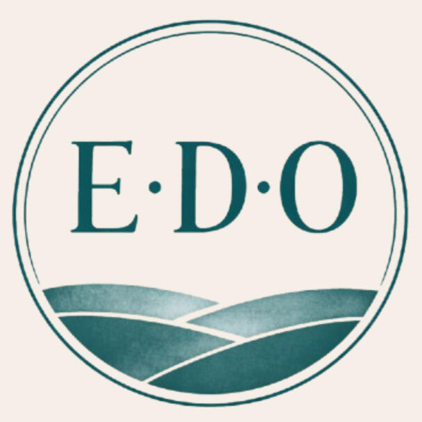 Proyecto entrenamiento de ocio EDO